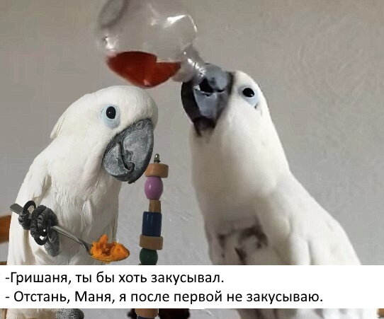 Автор предупреждает: употребление креплёных вин требует снижение дозировки