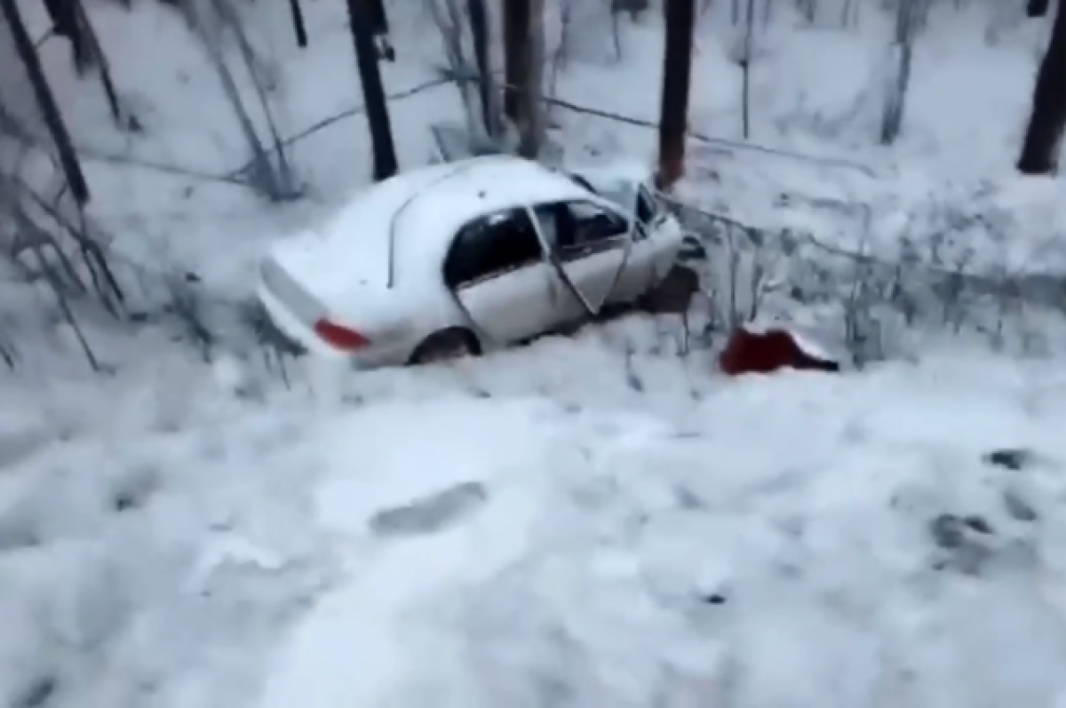    Водитель врезался в дерево на федеральной трассе в Братске и погиб