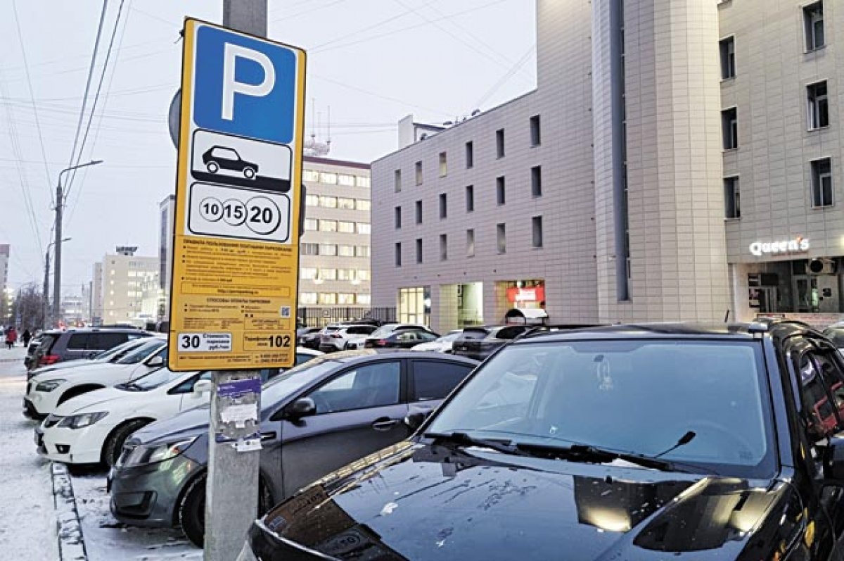    В Петербурге назвали плюсы введения платной парковки