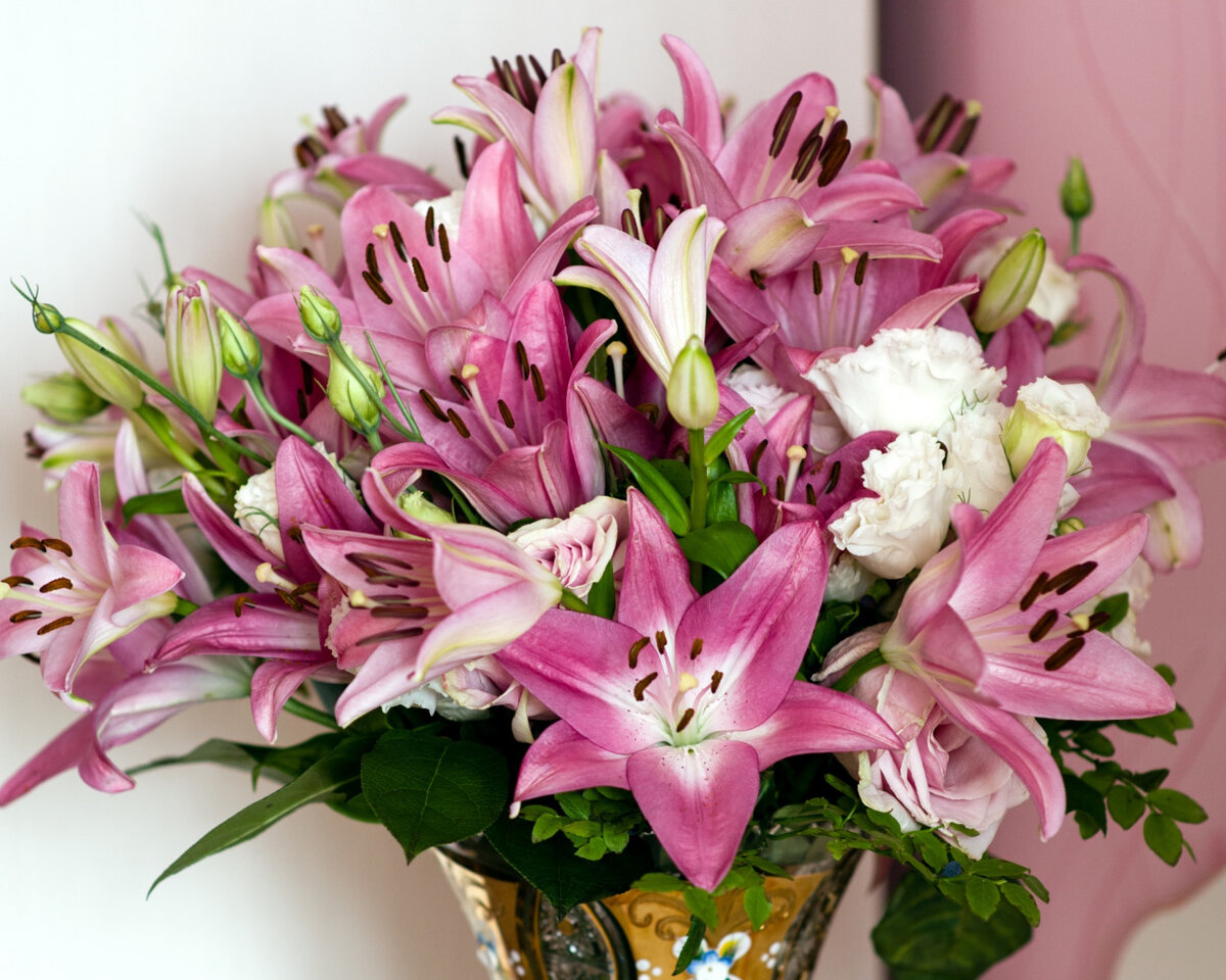 Яндекс. Картинки.