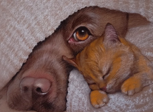 А3 , карандаши , пастель , крафт Источник изображения: https://vk.com/id5973829