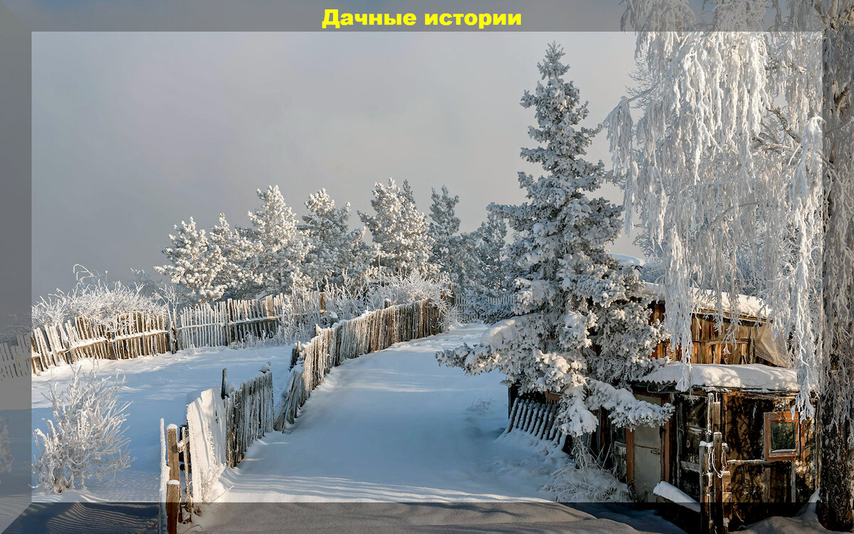 https://vk.com/photo-159774511_457257542