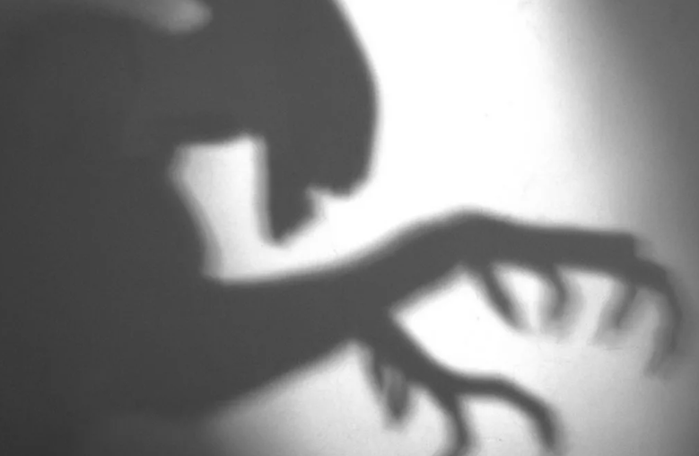 картинка взята из интернета в качестве иллюстрации.