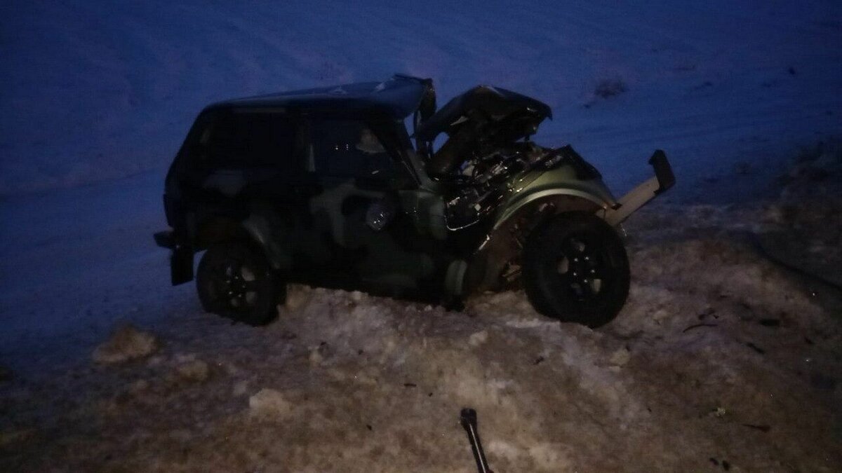     Сегодня, 24 декабря, на трассе в Нижнекамском районе произошло столкновение Mitsubishi и «Нивы». В результате погиб один человек. Подробности сообщили в пресс-службе Госавтоинспекции Татарстана.