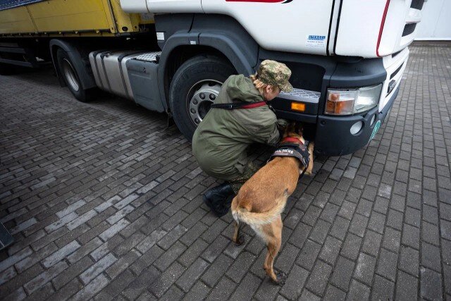   Фото из архива Калининград.Ru