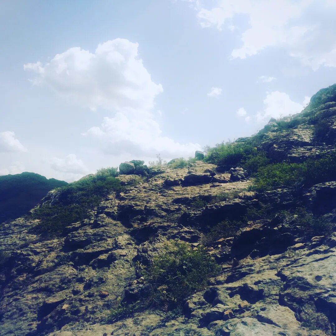        Карагандинская область, близ аула Айыртас 