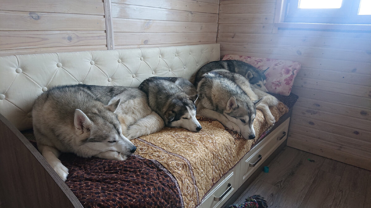 Спите, но только на отдельной кровати) 