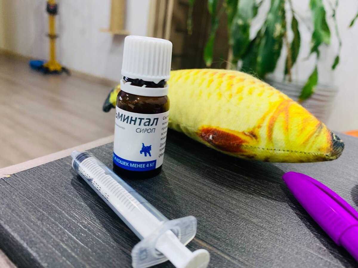 Шприц и бутылочка сиропа от гельминтов для кошек