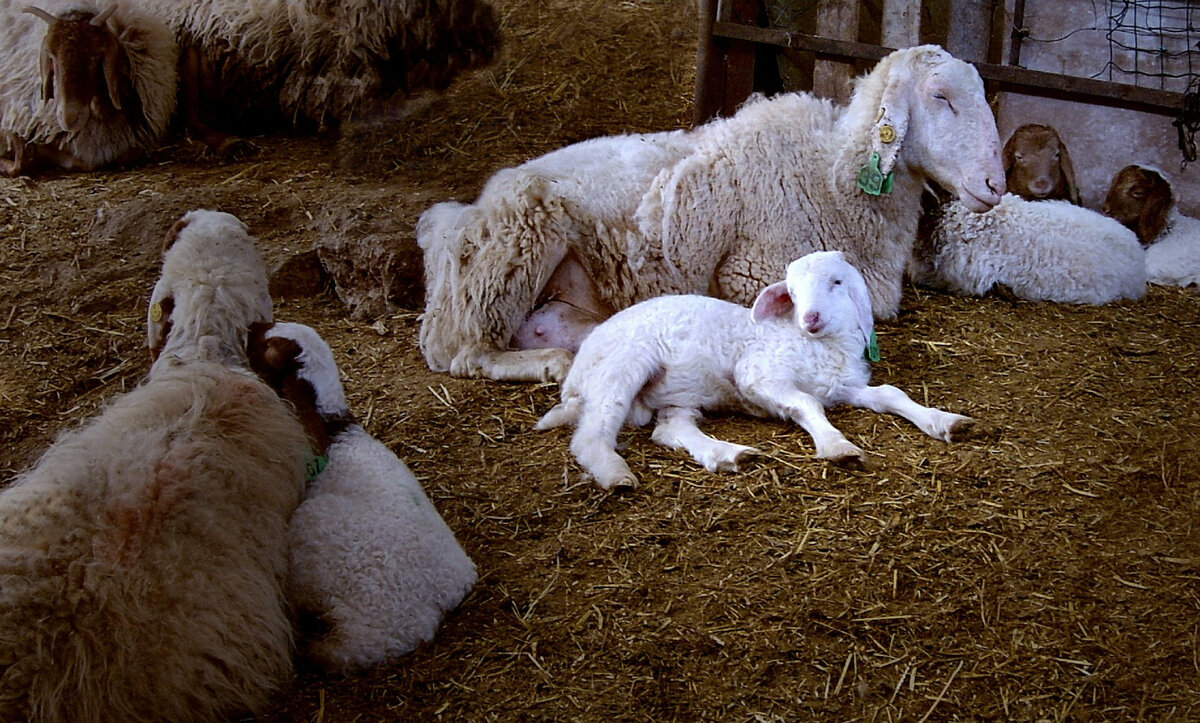 Efi Keren/Russian Look/Globallookpress