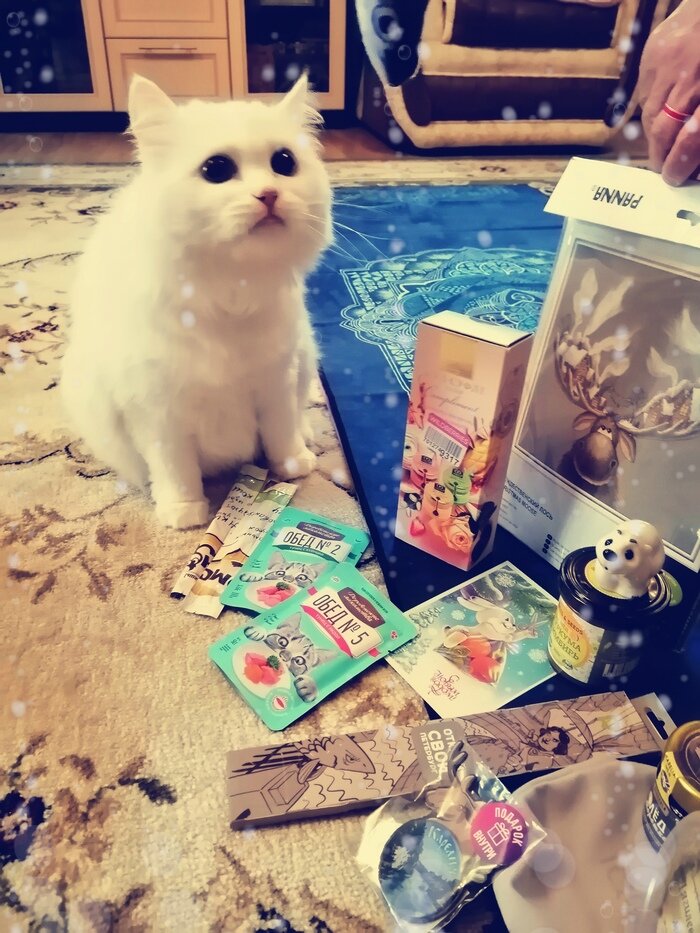 Листайте вправо, чтобы увидеть больше изображений