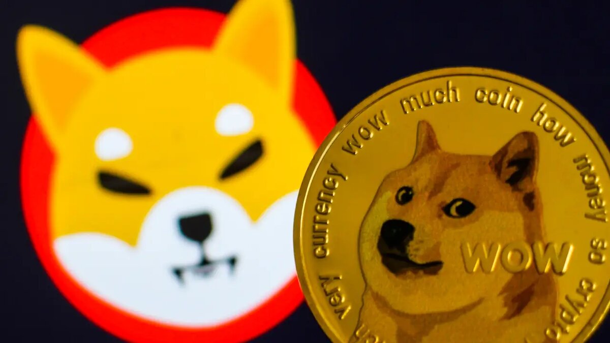 Может стоит приглядеться к Dogecoin и Shiba Inu? | Crypto AJ | Дзен