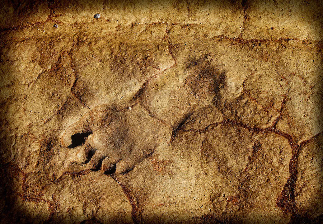 След в истории. Следы илоедов окаменелые. Отпечатки ног древних людей. Следы древнего человека. Древние окаменелые Отпечатки.