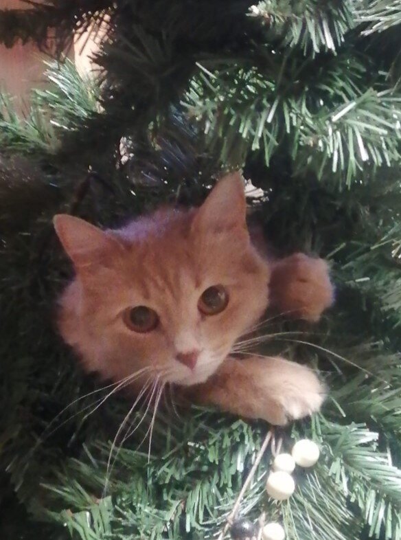 Милое украшение ёлочки от Анны Моновой