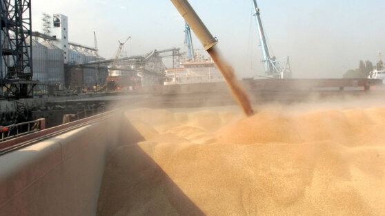    Порядка 17 миллионов тонн продовольствия вывезли с Украины в рамках "зерновой сделки" Ксения Пудовкина