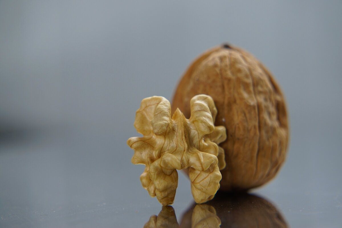 Приснился грецкий орех? К чему бы это? | Snitsya.com - к чему снится сон? |  Дзен