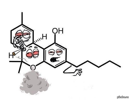 (фото из Яндекс фото)