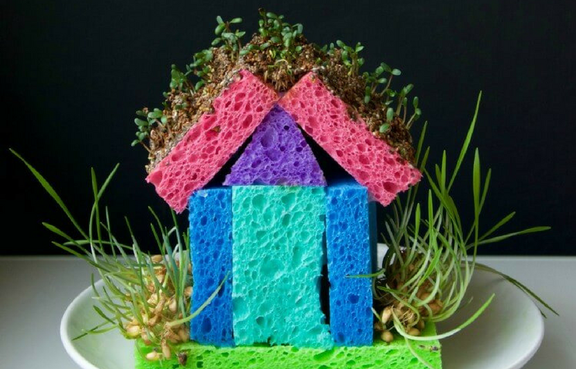 Фото: https://thestemlaboratory.com/sprout-house/ 
