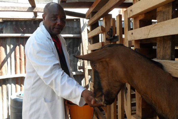 Фото nation.co.ke 