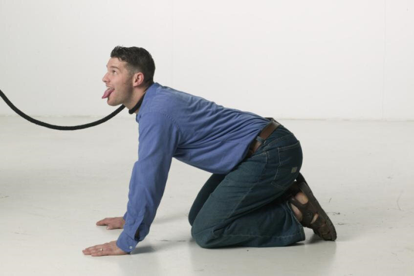 Фотография из поисковой системы Яндекса