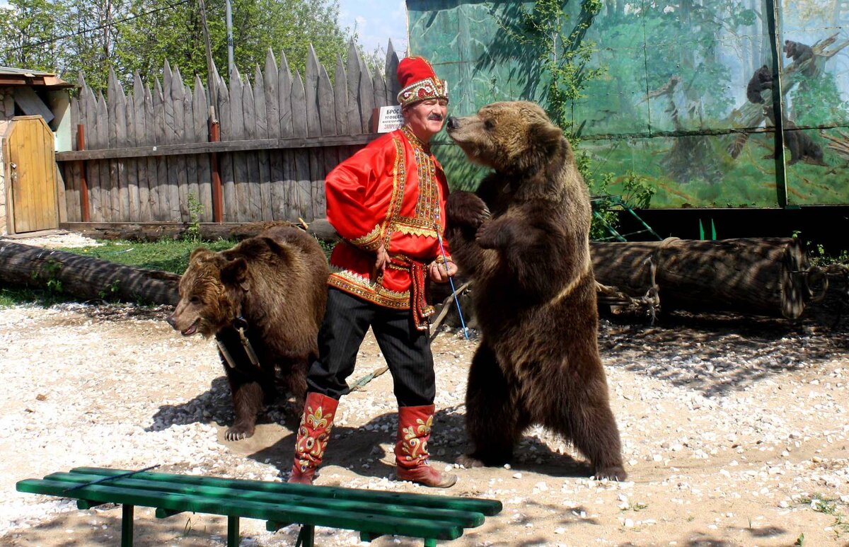 Развлечения медведей. Медведь на Ярмарке. Дрессированный медведь. Медвежья потеха на Руси. Танец медведя.