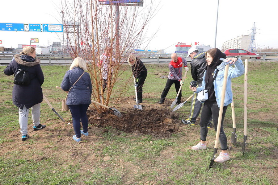 
На  территории городского округа Мытищи  основной стала одна из площадок  вдоль Ярославского шоссе. Кроме того, жители проводили уборку и вдоль  Мытищинского лесопарка, у Борисовских прудов, на территориях  образовательных учреждениях и в своих дворах. 
Общее количество  участников, принявших участие в субботнике, – около 17,5 тысяч человек. В  субботнике было задействовано 287 организаций всех форм собственности,  использовано 143 единиц коммунальной техники. Проведена уборка и  благоустройство почти 450 дворов, более 500 детских дворовых площадок,  14 зон отдыха, 24 воинских захоронений, мемориалов и памятников.