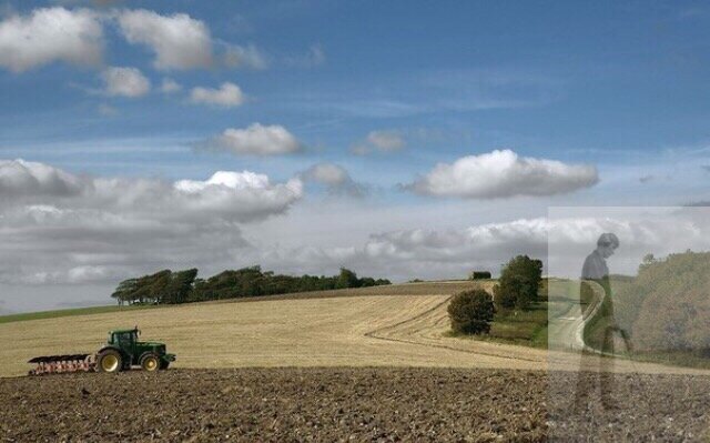 фото взято из интернета