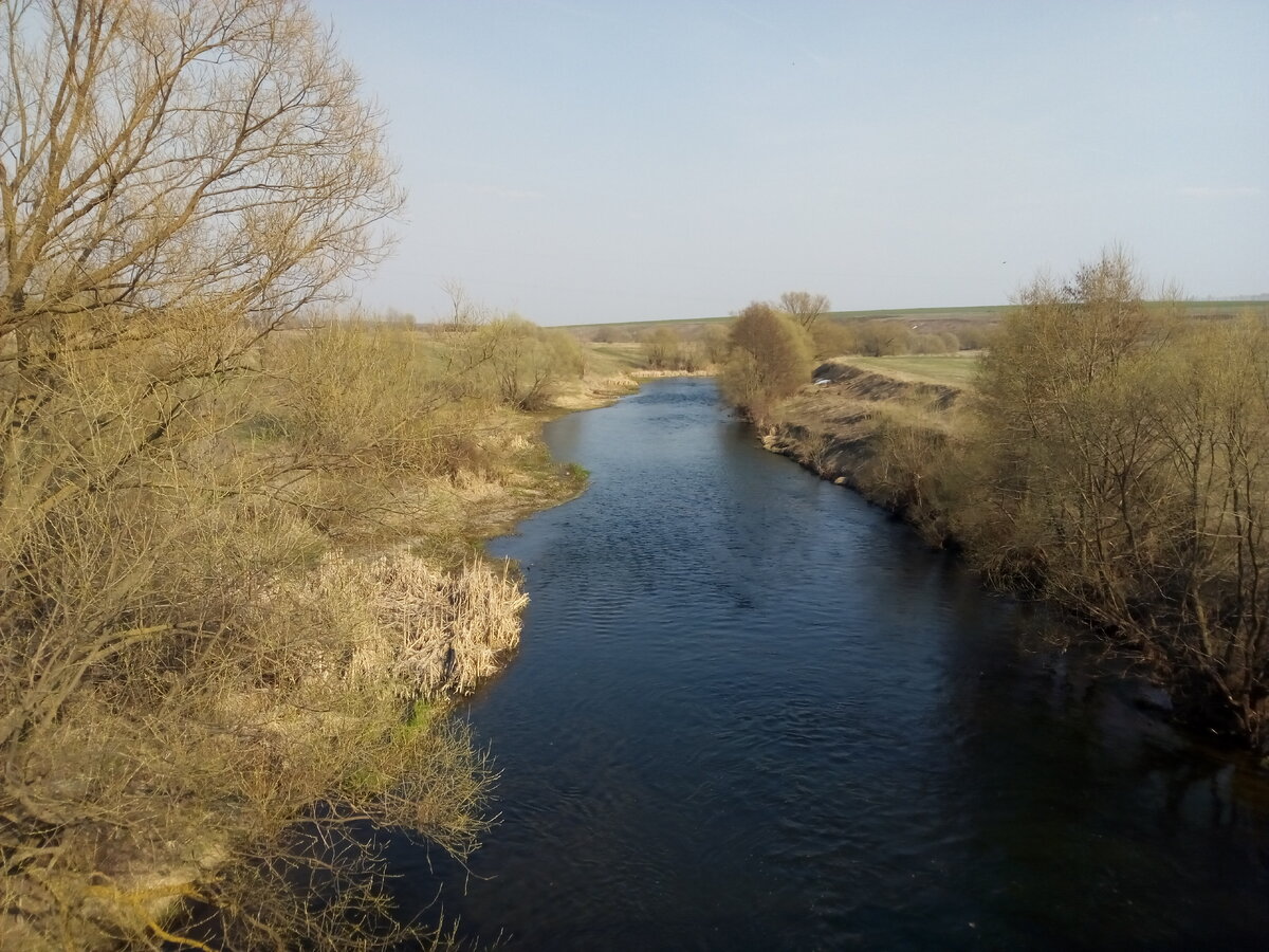 Река Дон в Тульской области