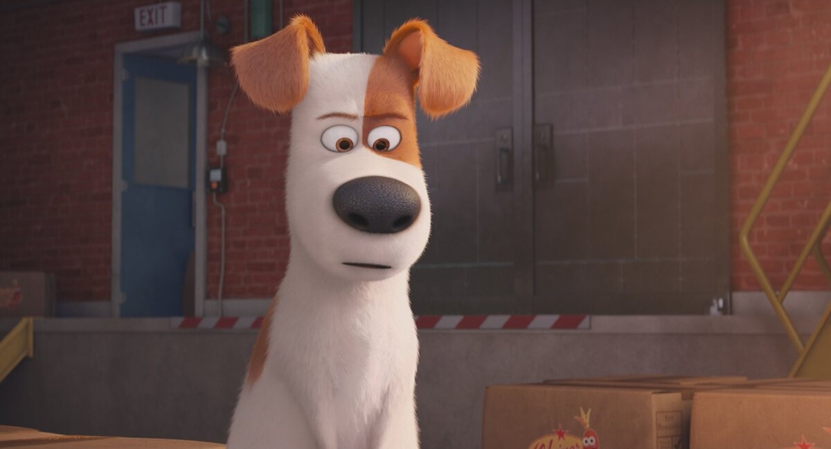 Терьер Макс. 