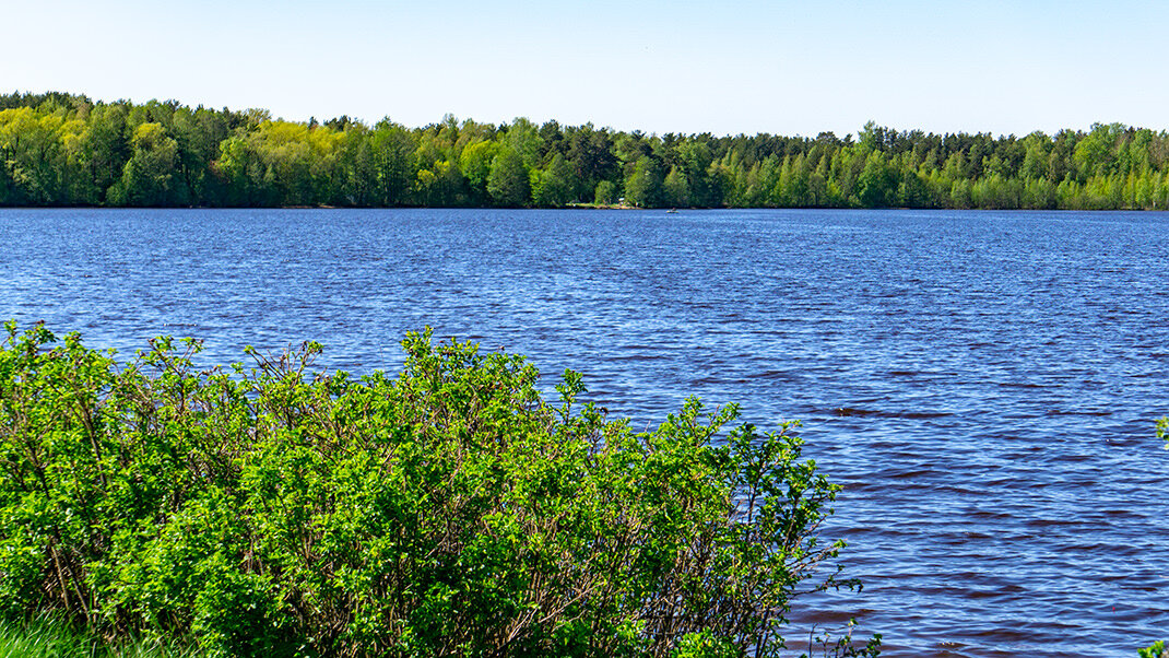 Живописное озеро Сестрорецкий разлив