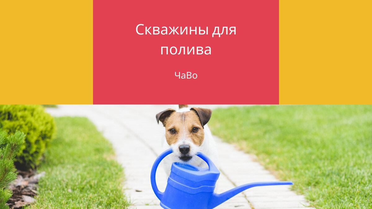 Вопросы которые важно проработать при организации полива из скважины