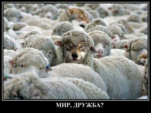 Мир, дружба