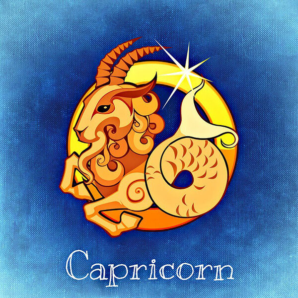 https://cdn.pixabay.com/photo/2015/05/09/07/31/capricorn-759379_960_720.jpg