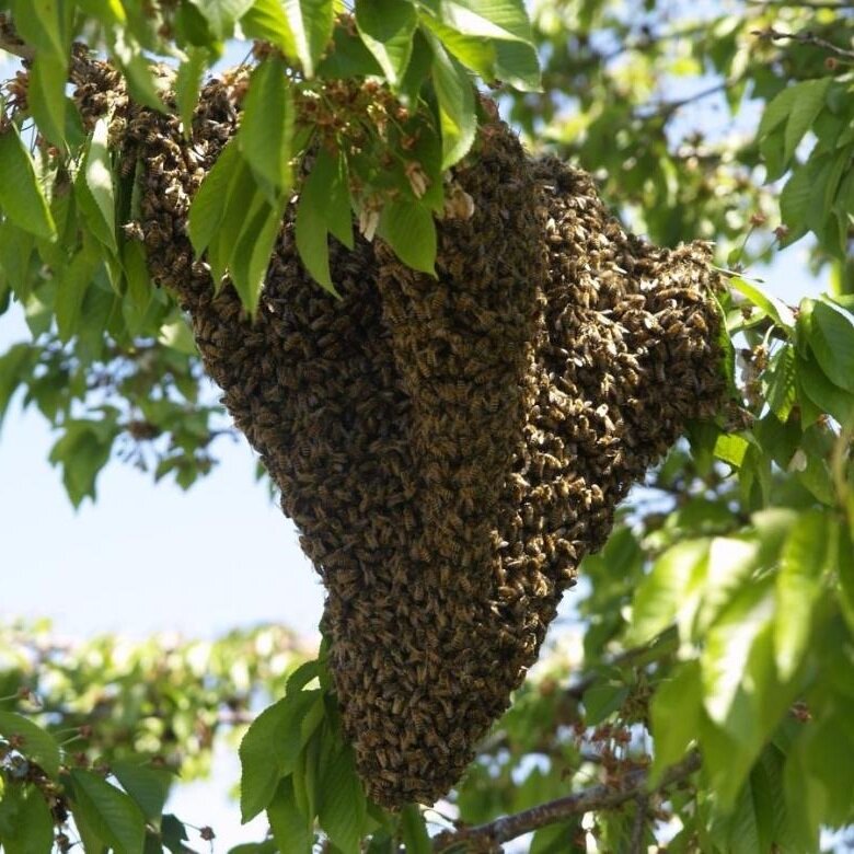 Просто фото для разнообразия
