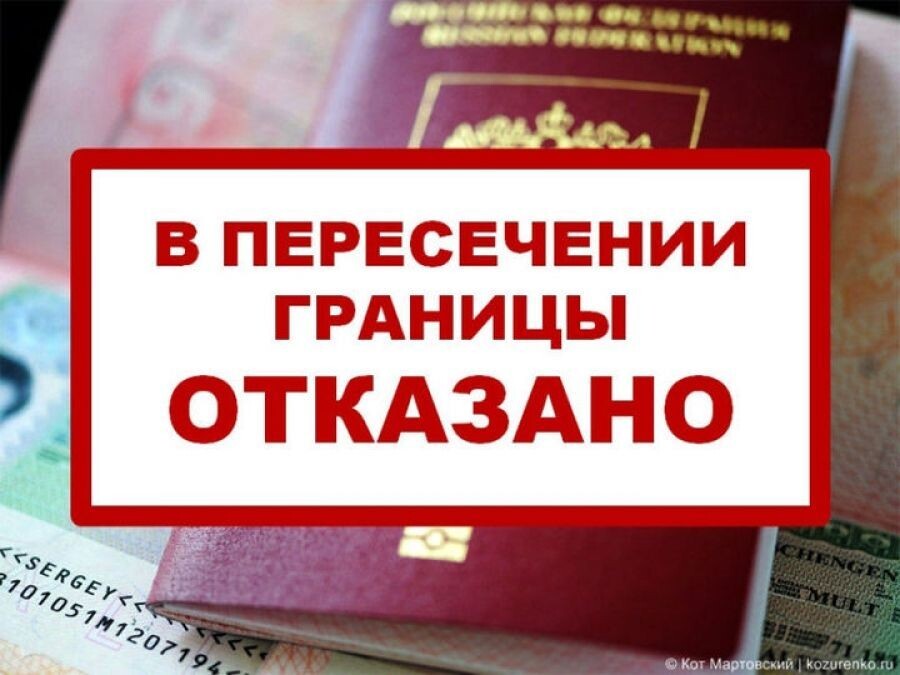 Фото Яндекс. Картинки