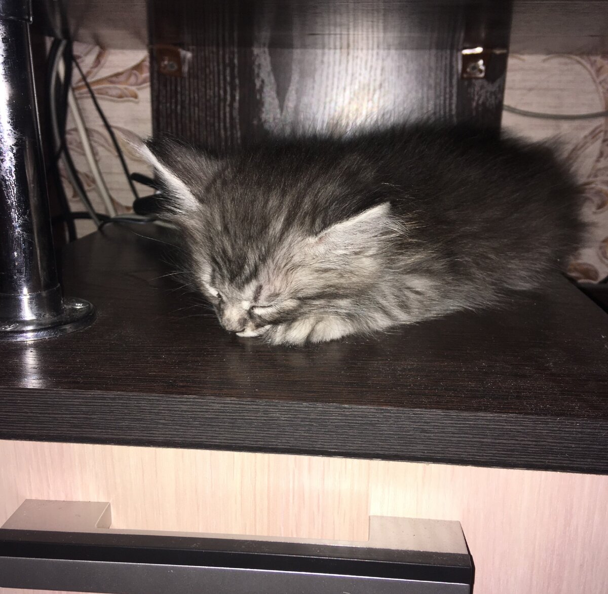 первый день дома