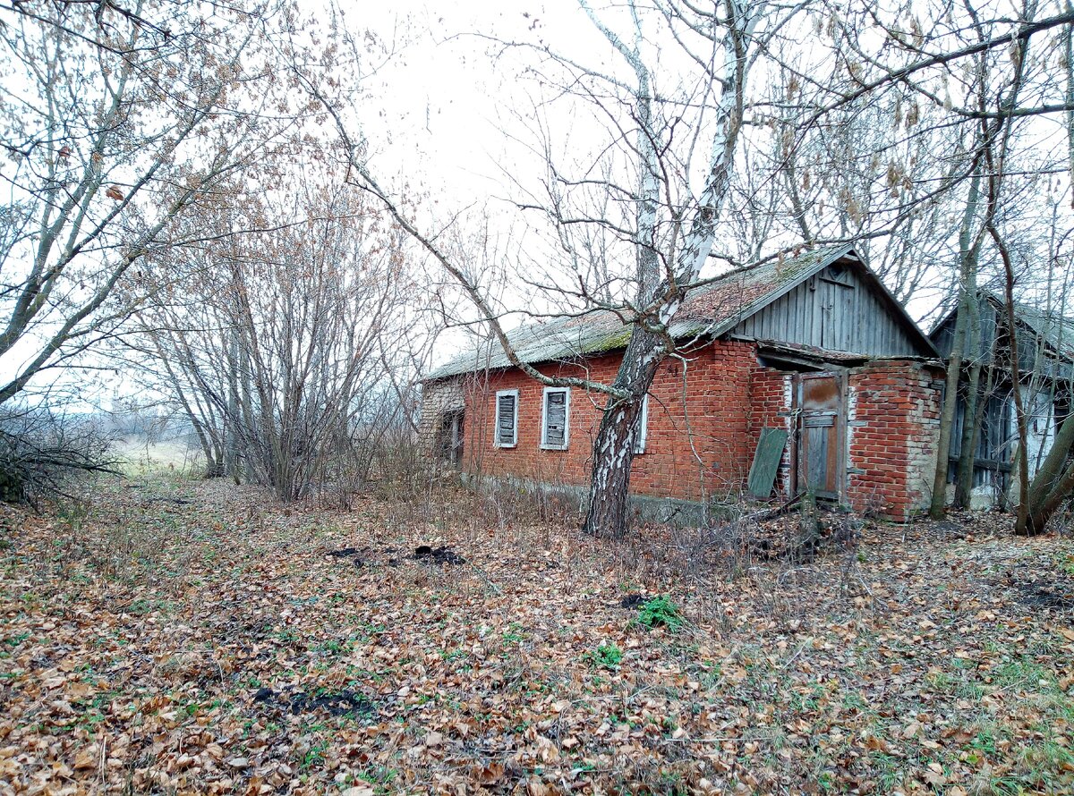 Село на берегу речки. Вроде хорошее место, но многие дома все равно  заброшены | Прекрасное рядом | Дзен