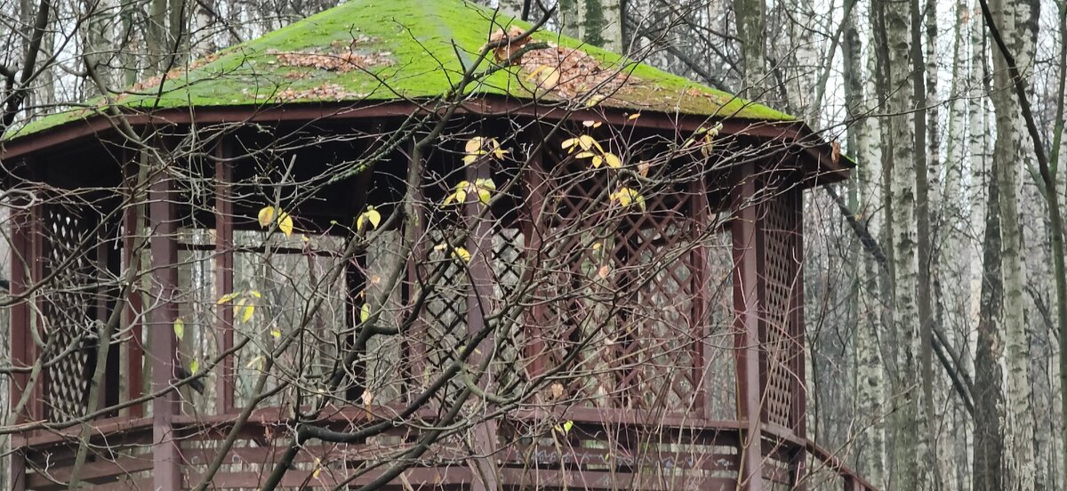 6х оптическое увеличение 