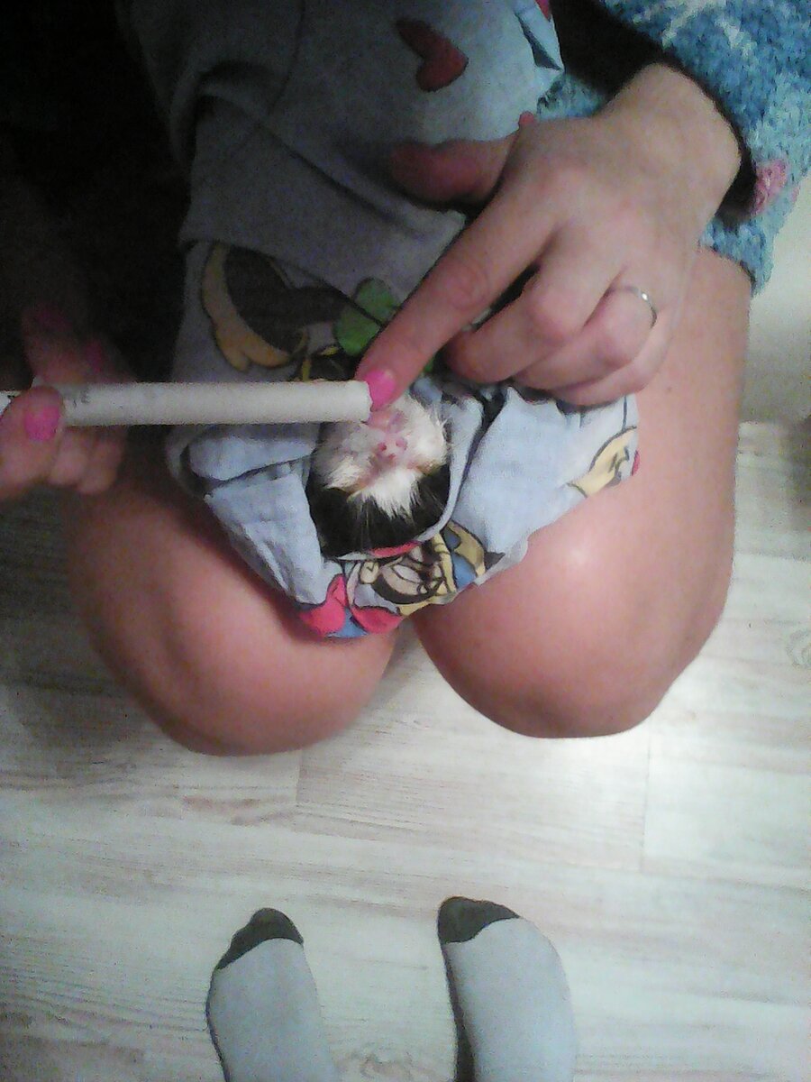 Таким он был 18 сентября 2015 года