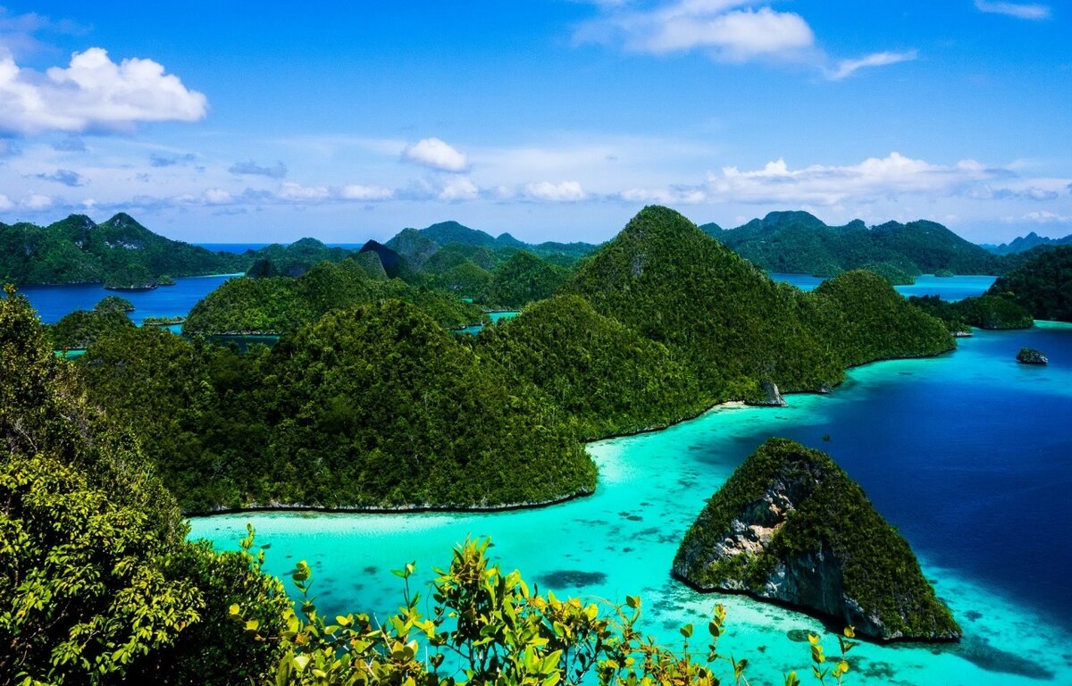 Фото взято из яндекс поисковой системы.