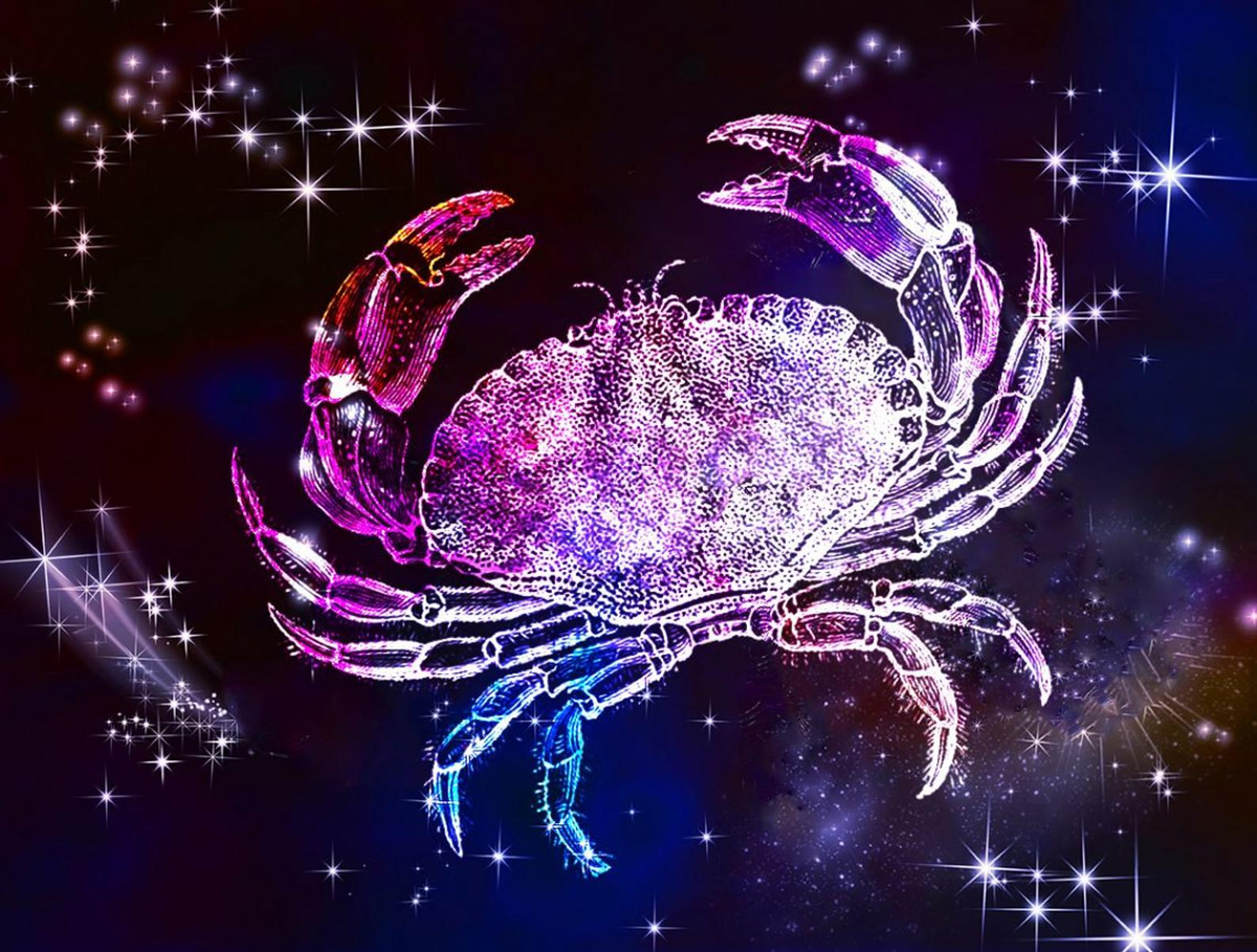 Фотография взята из открытого источника