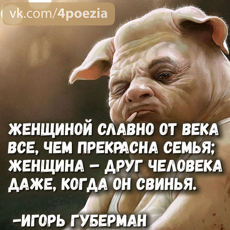 Губерман гарики. Губерман про глупость