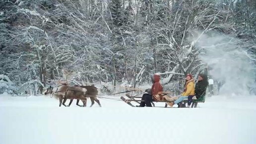 Государева дорога зимой (Тверская область)