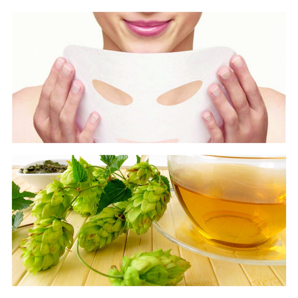 Горячие компрессы из отвара шишек хмеля