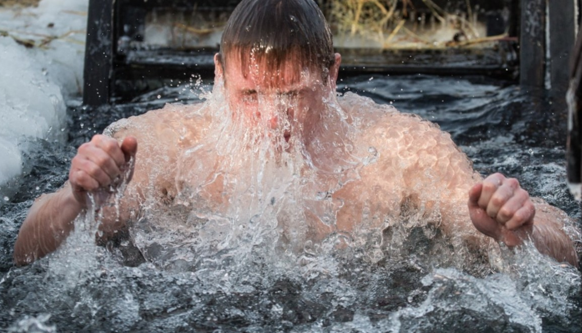 Источник: Яндекс