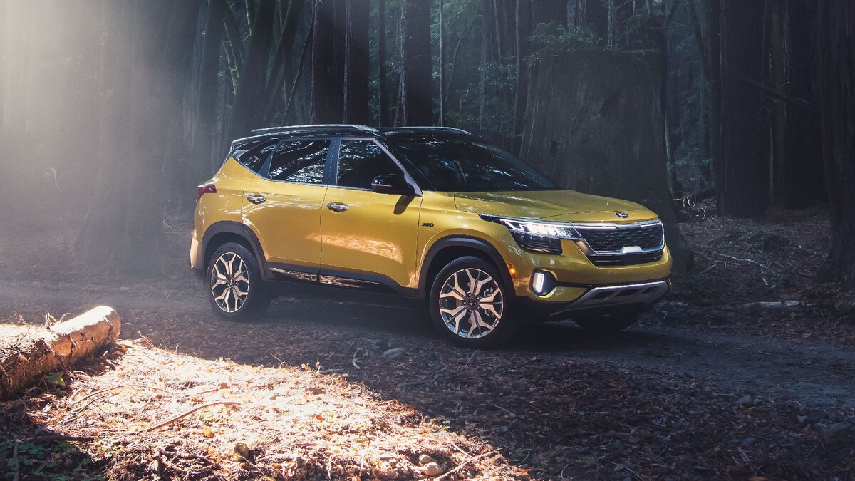 Фото взято из открытого источника.