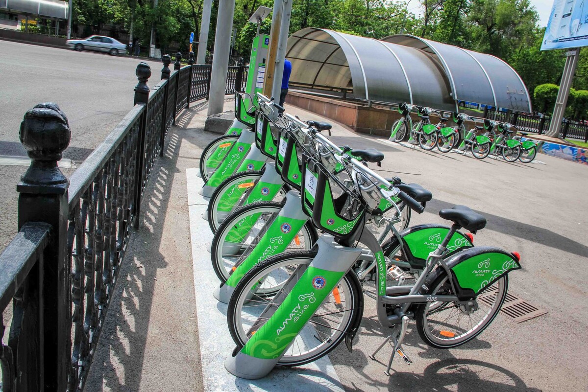 Фото взято с источника "Яндекс картинки"