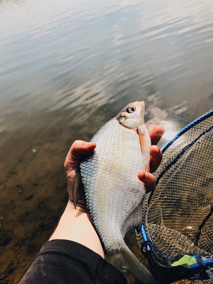 Даст бой любому