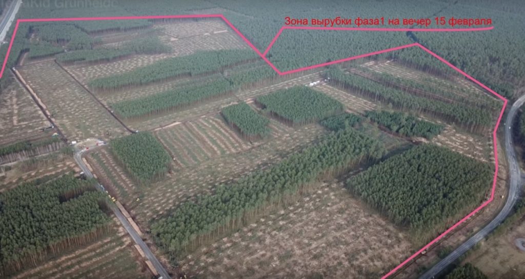 Фактически то, что посрубали за 13-15 февраля. Скрин из видео с канала Tesla Kid Grünheide