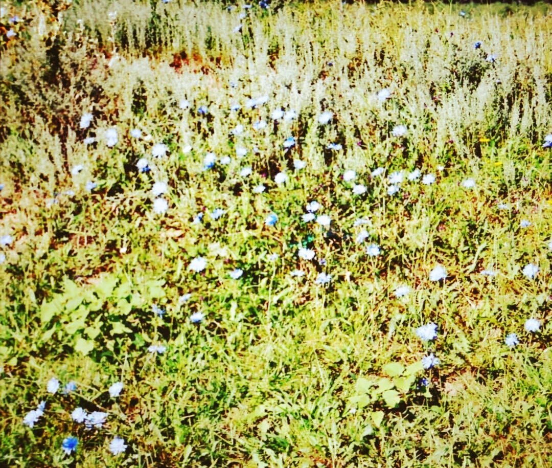 фото из личного архива