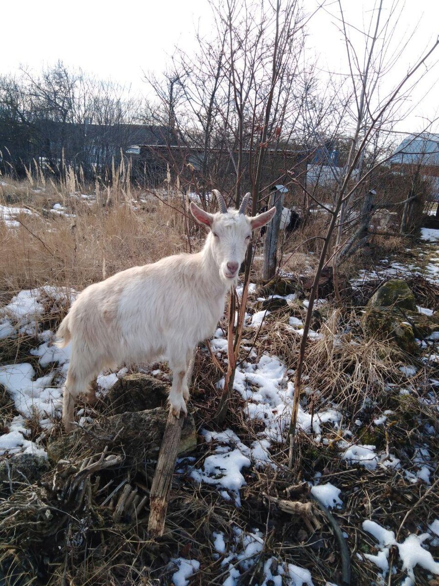 Сейчас пообедаем!